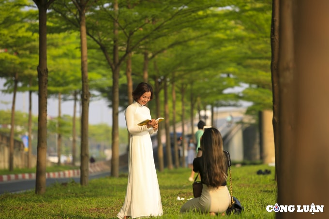 can canh hang cay bang dai loan dang gay sot o ha noi hinh 8