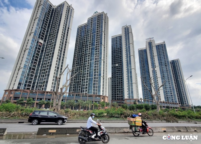 den hen to chuc hoi nghi nha chung cu chu dau tueco green saigon van im lang hinh 1