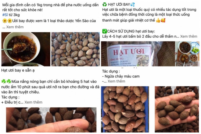 hat uoi bay 4 nam moi co 1 lan duoc chi em san lung rao riet hinh 2