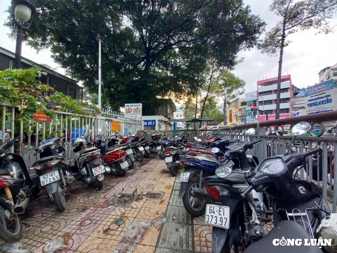 tp hcm muon kieu phan chia via he cua nguoi di bo de lam bai giu xe hinh 15