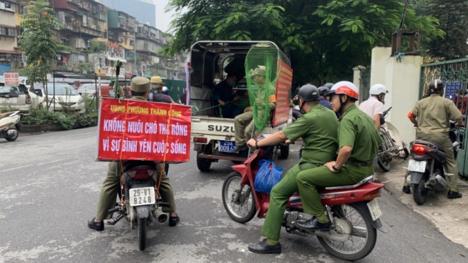 cac phuong xa thi tran tai ha noi se co doi bat cho tha rong hinh 1