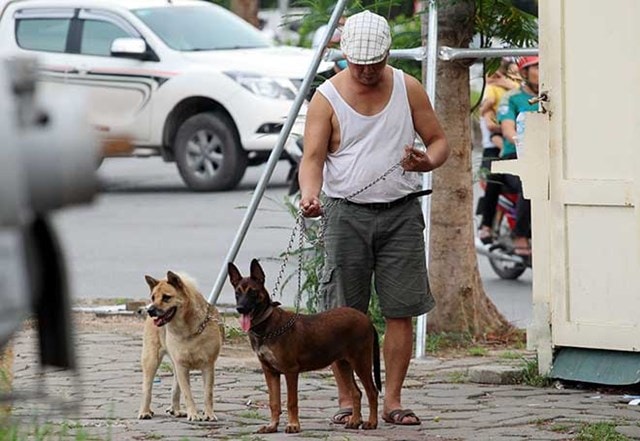 ha noi hien co 4 quan duoc cong nhan la vung an toan benh dai hinh 1