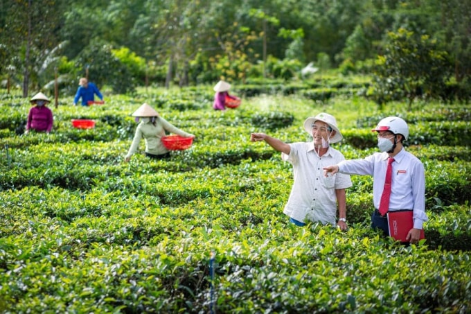 agribank san sang vuot qua thach thuc tiep tuc phat trien len tam cao moi hinh 3