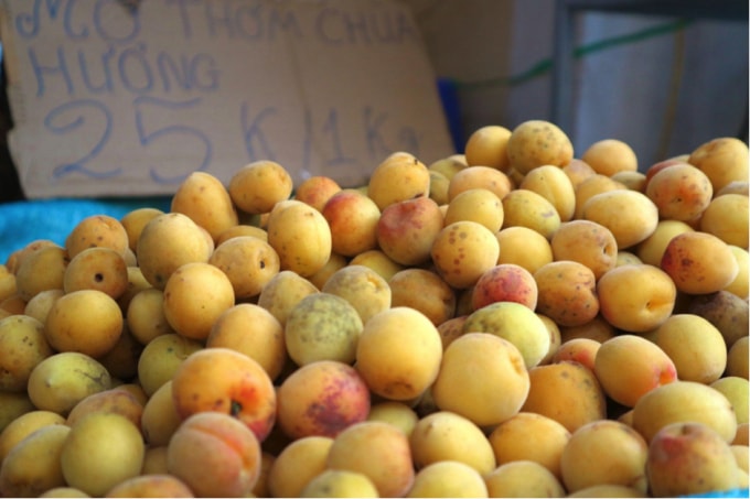 mo vang chua huong dat khach dau mua dan ha noi xep hang cho mua hinh 3
