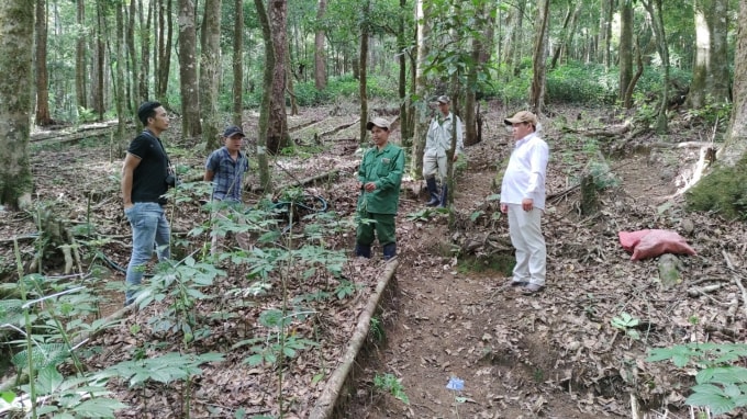 co gi tai phien cho sam ngoc linh dau tien o kon tum hinh 1