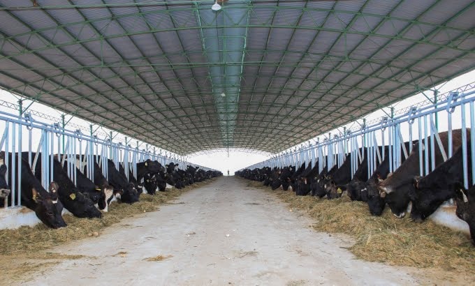 lanh dao tinh gia lai mong muon gan ket kinh te van hoa voi cac doanh nghiep tren toan the gioi hinh 3