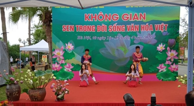 trung bay ton vinh sen trong doi song van hoa viet hinh 4