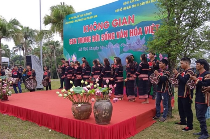 trung bay ton vinh sen trong doi song van hoa viet hinh 8
