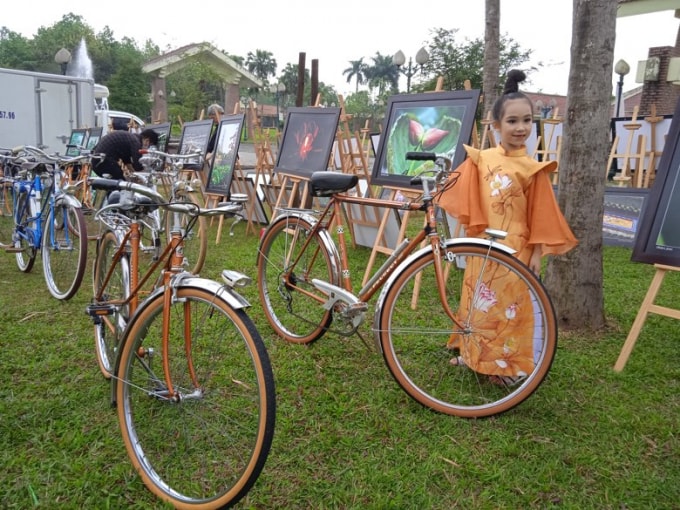 trung bay ton vinh sen trong doi song van hoa viet hinh 9