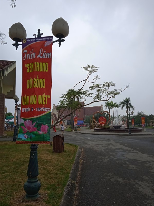 trung bay ton vinh sen trong doi song van hoa viet hinh 3