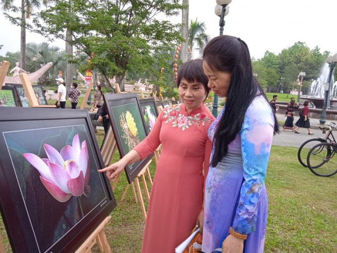 trung bay ton vinh sen trong doi song van hoa viet hinh 1