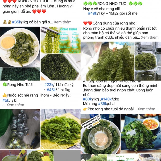 trung ca hoi xanh vao mua gia re tran cho mang hinh 1