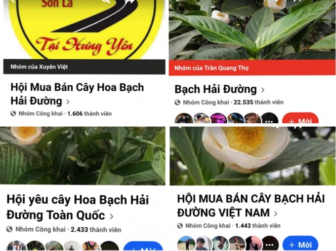 dut con sot cay bach hai duong nhieu nguoi om trai dang hinh 2