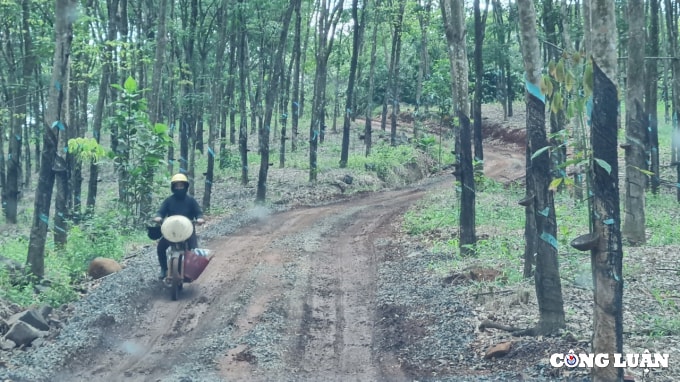 binh phuoc dot nhap cong truong da tac o bu gia map hinh 4