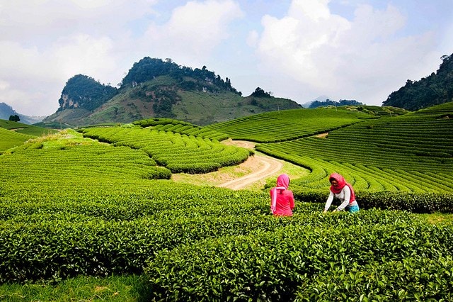 goi y nhung diem den hap dan gan ha noi de tan huong ky nghi le 30 4 1 5 hinh 1