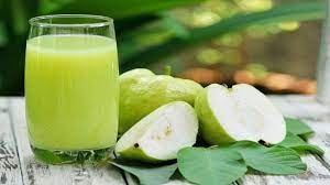 nhung bai thuoc tri benh cuc hay tu cay oi hinh 1