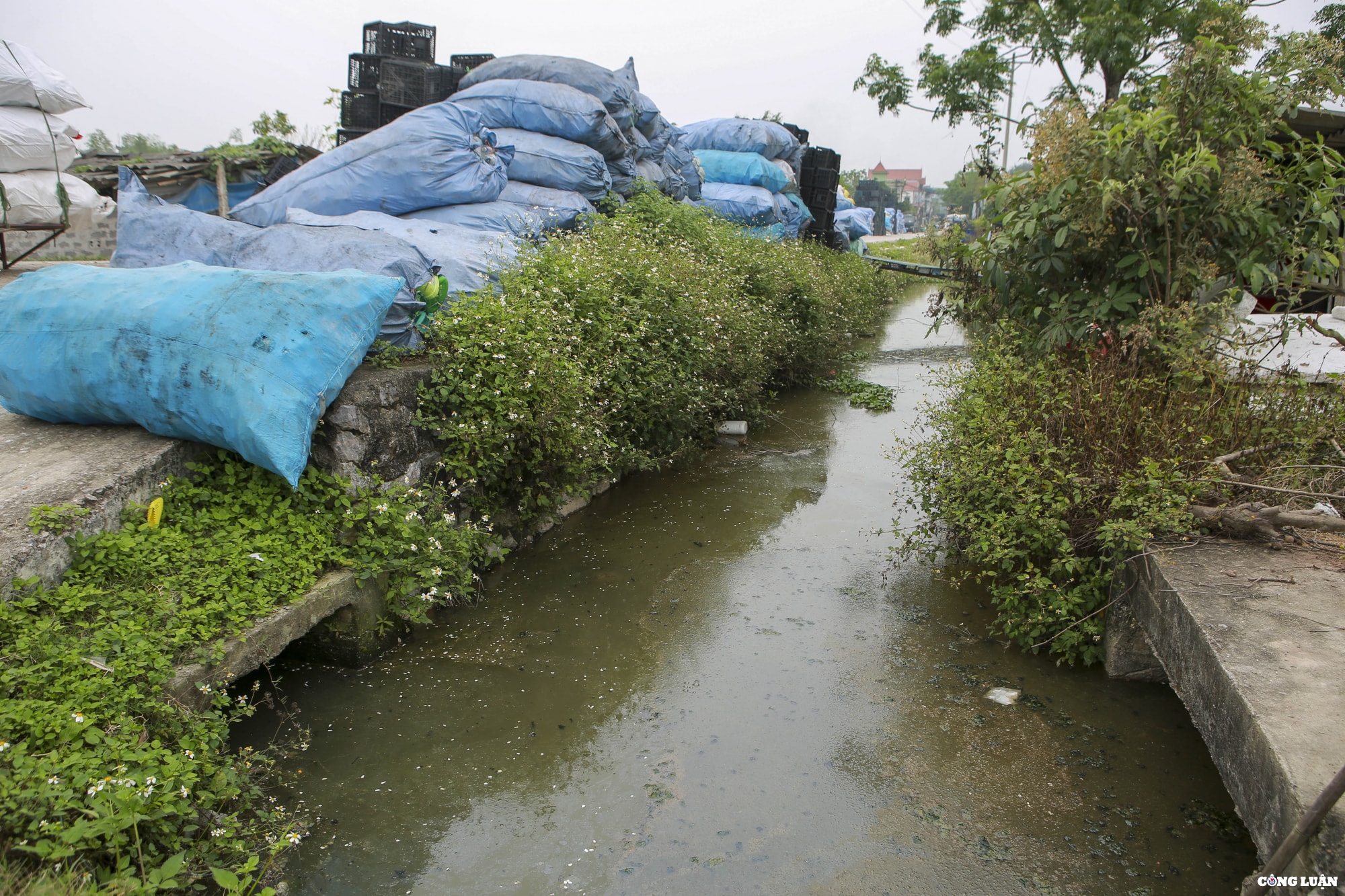 can canh thu phu tai che rac thai nhua lon nhat thanh pho ha noi hinh 8