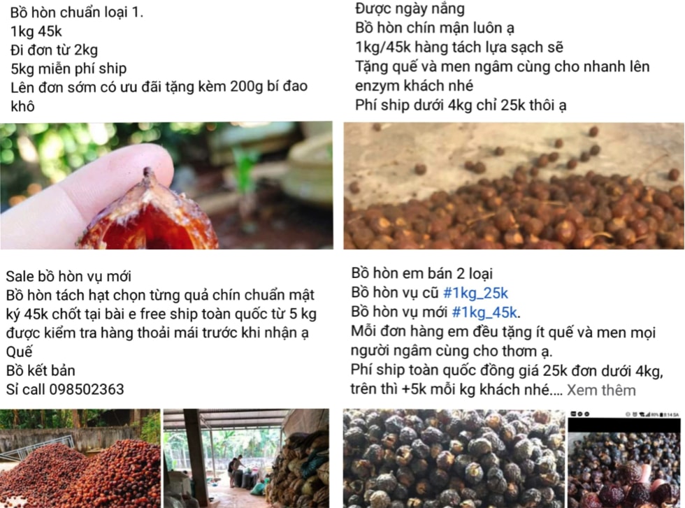 xu huong su dung hop chat tu qua bo hon thay the cac loai hoa chat tay rua hinh 3