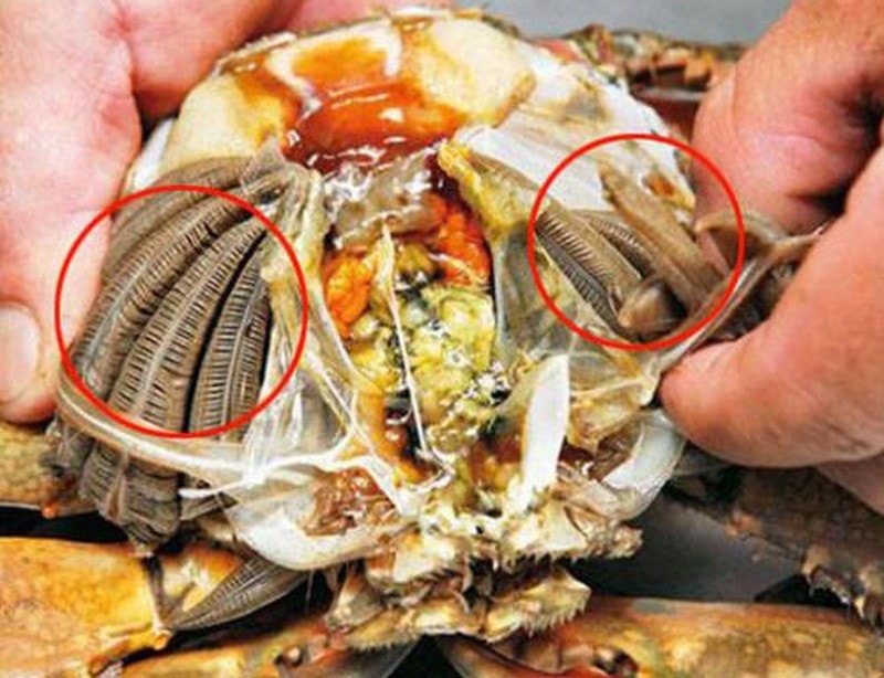 3 bo phan o cua tuyet doi khong nen an keo ruoc hoa vao than hinh 2