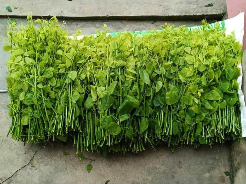 rau rung gia re xuong pho lam phong phu bua an nguoi dan ha noi hinh 1