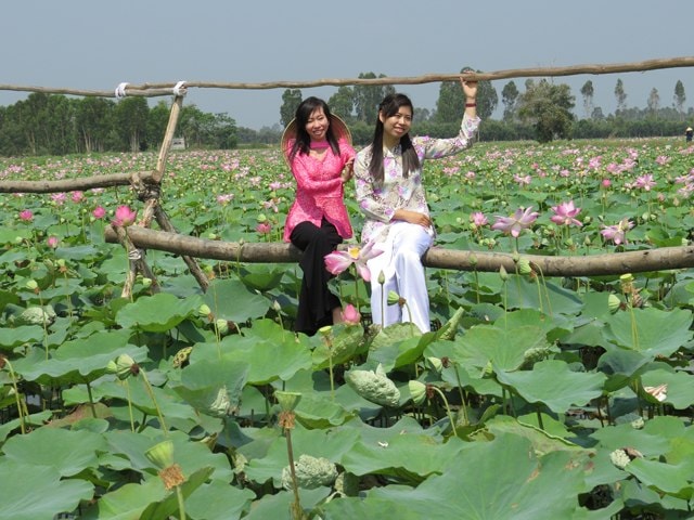 su kien van hoa noi bat trong tuan tung bung cac hoat dong dip nghi le 30 4 1 5 hinh 7