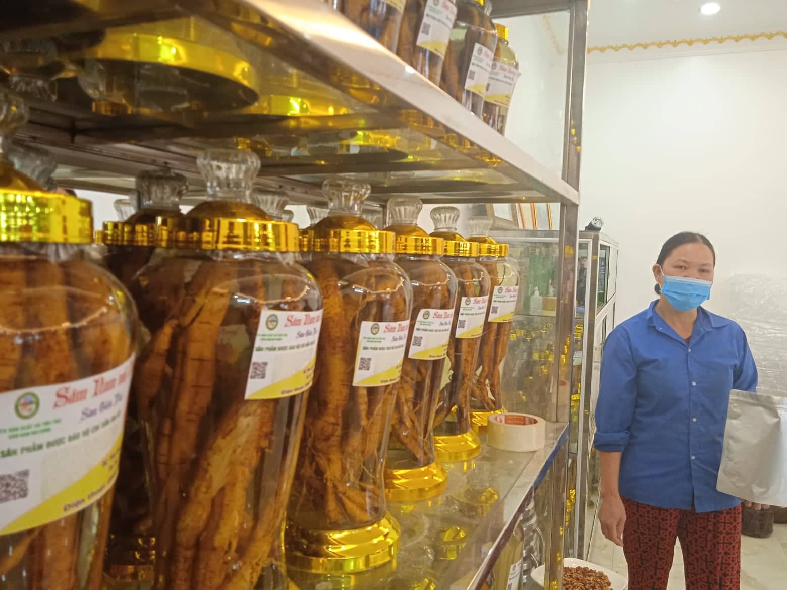 mang tien ve cho sam nui danh hinh 1