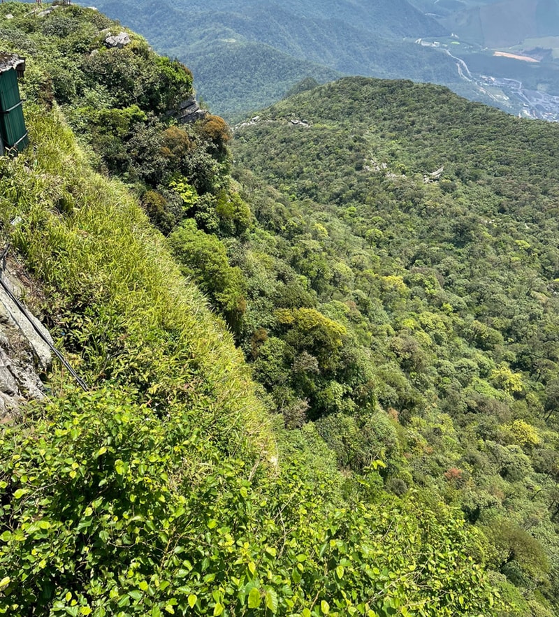nguoi phu nu song sot ky dieu sau 7 ngay bi roi xuong vuc khi di le chua dong yen tu hinh 2