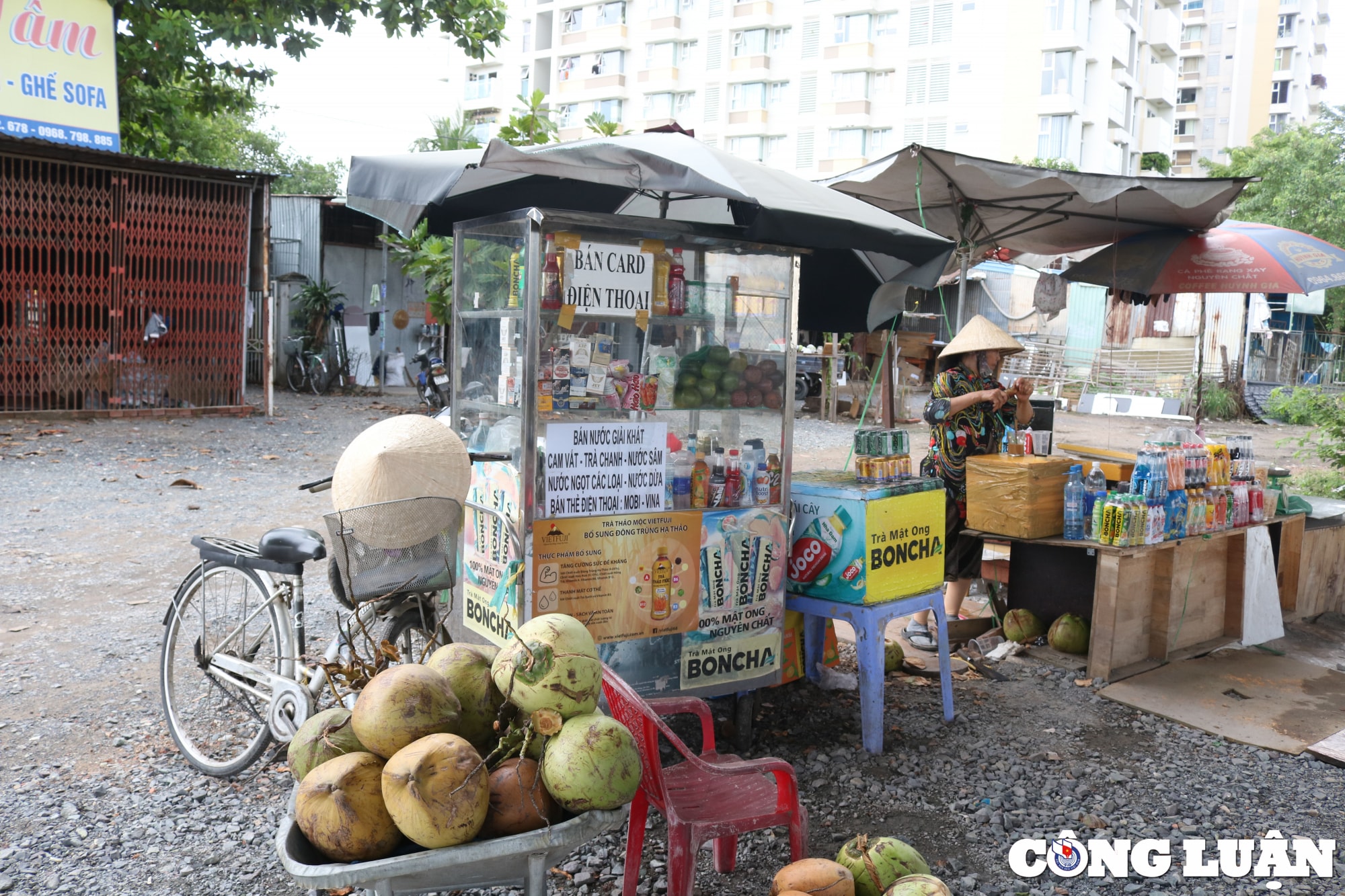 nguoi dan tp hcm kho so vi cau nam ly dap chieu nhieu nam toi tung pha san vi no hinh 16