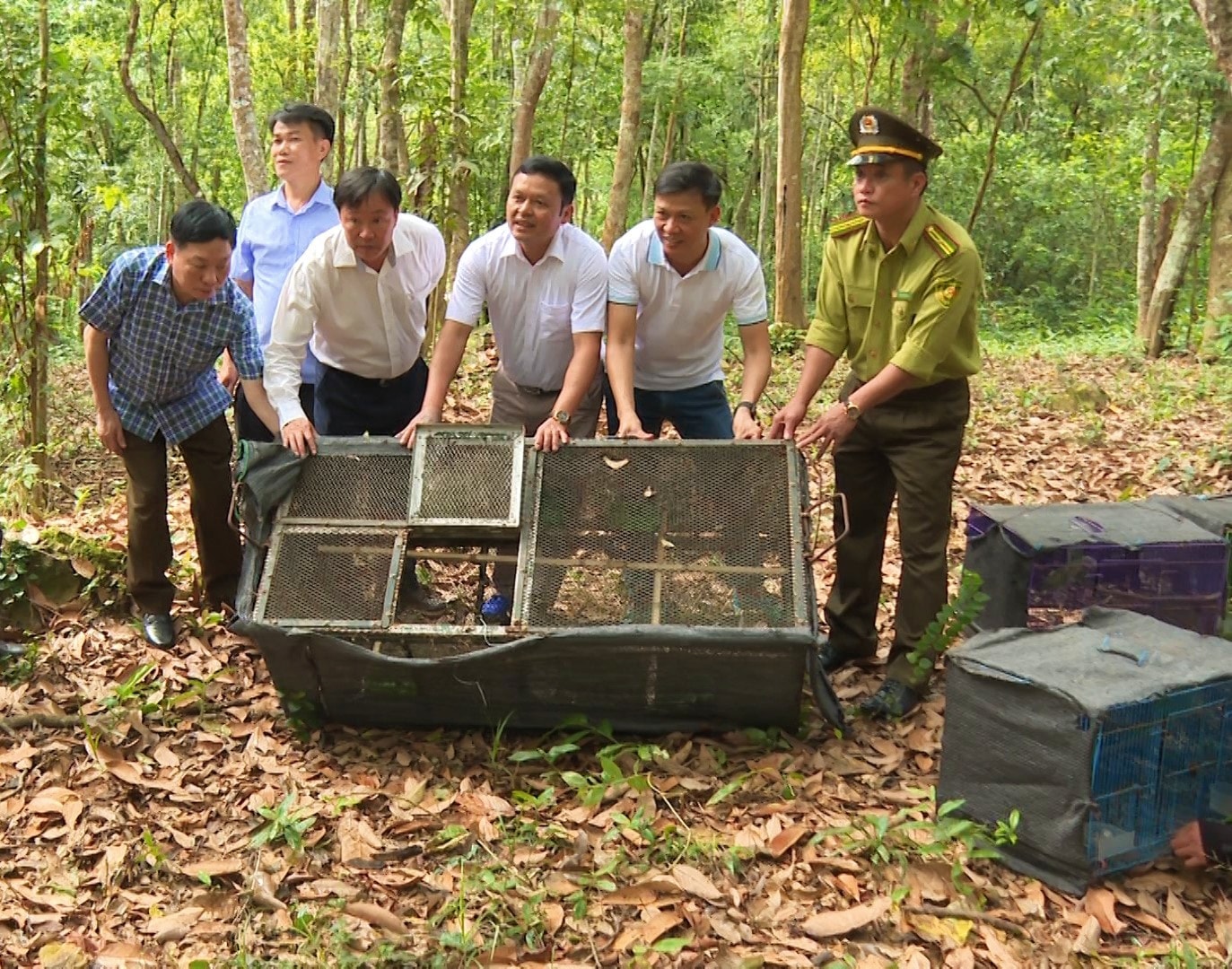 tha gan 200 ca the dong vat hoang da sau cuu ho ve moi truong tu nhien hinh 1