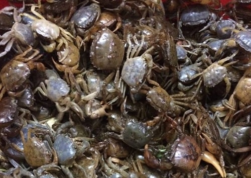 nhung sai lam khi an cua dong nhieu nha mac phai hinh 2