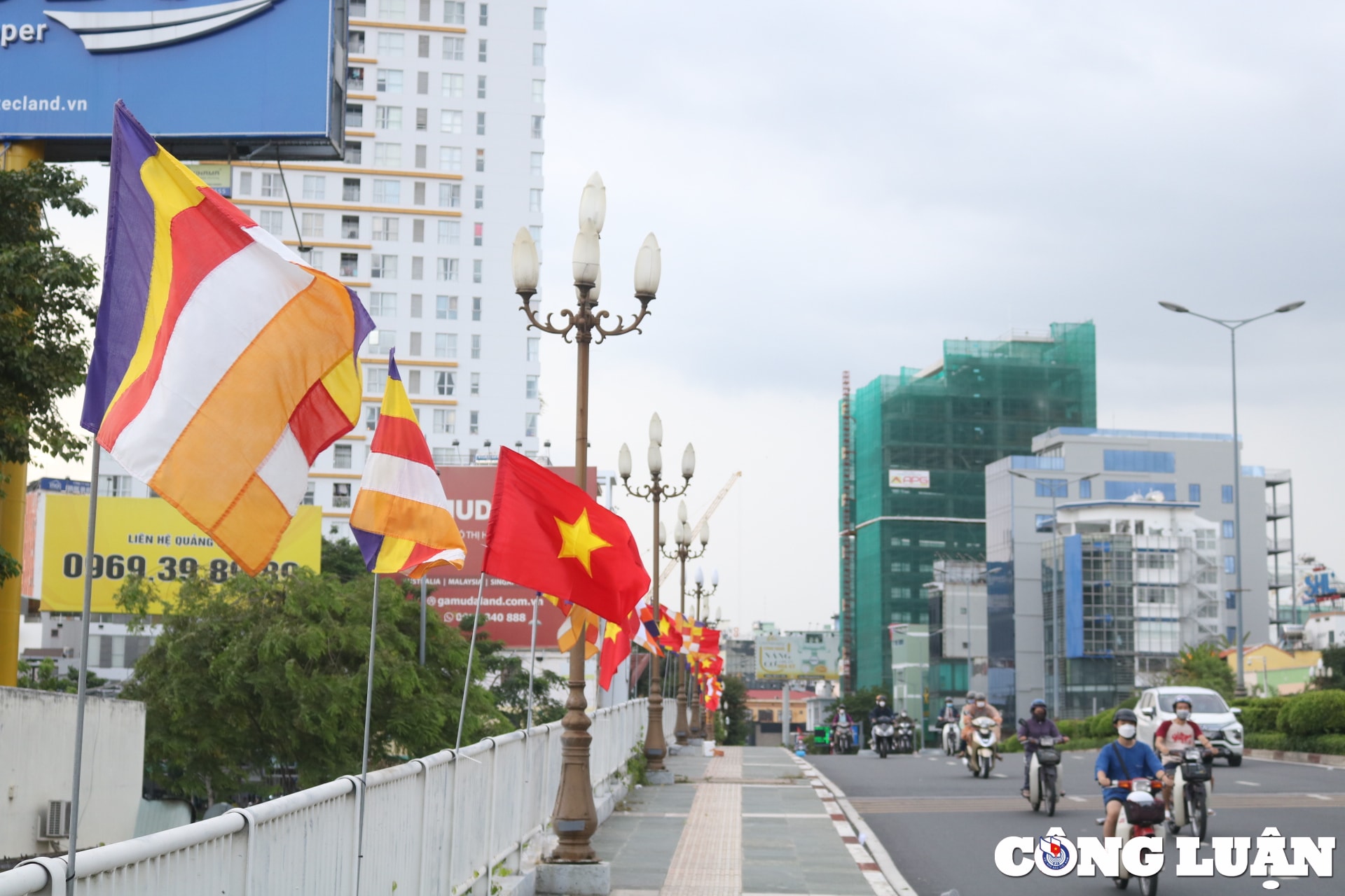 duong pho tp hcm rop co hoa san sang cho dai le phat dan hinh 2