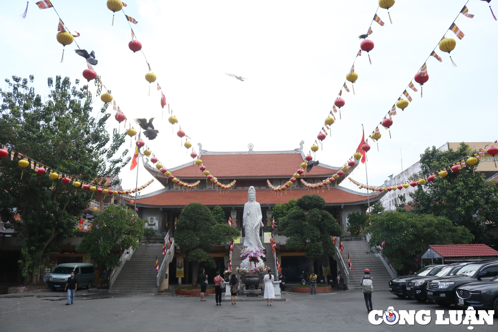 duong pho tp hcm rop co hoa san sang cho dai le phat dan hinh 8