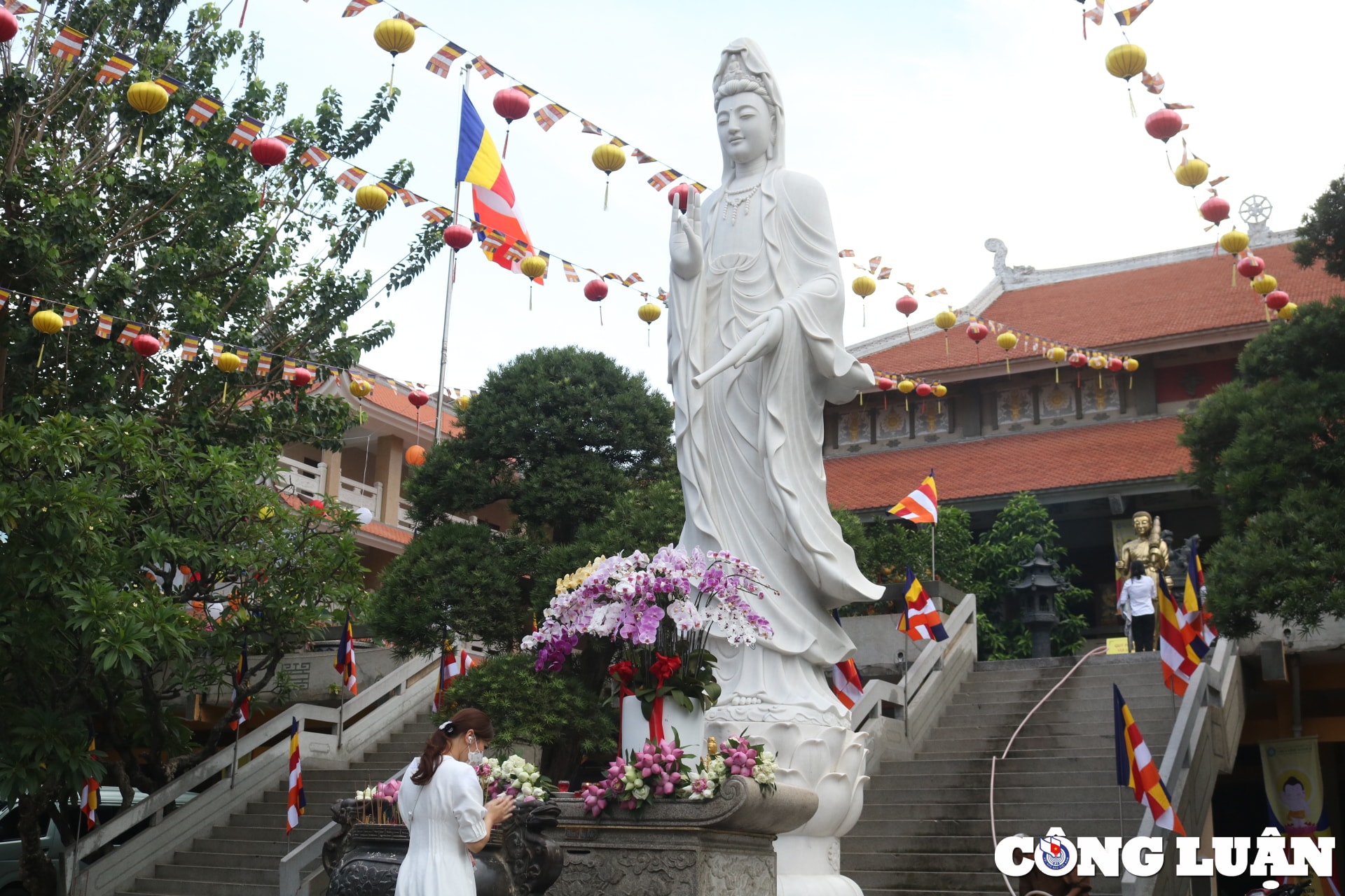 duong pho tp hcm rop co hoa san sang cho dai le phat dan hinh 16