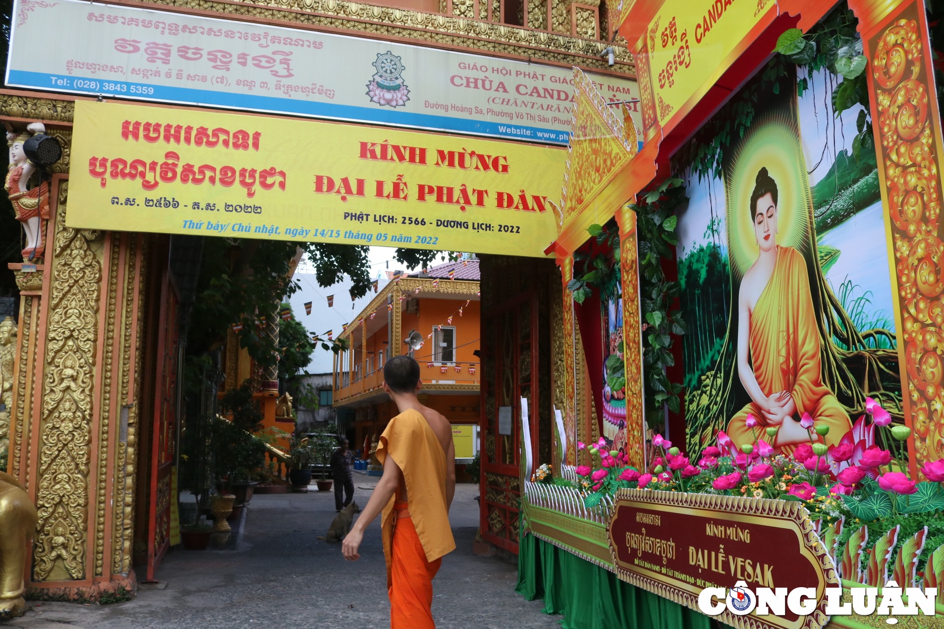 duong pho tp hcm rop co hoa san sang cho dai le phat dan hinh 7