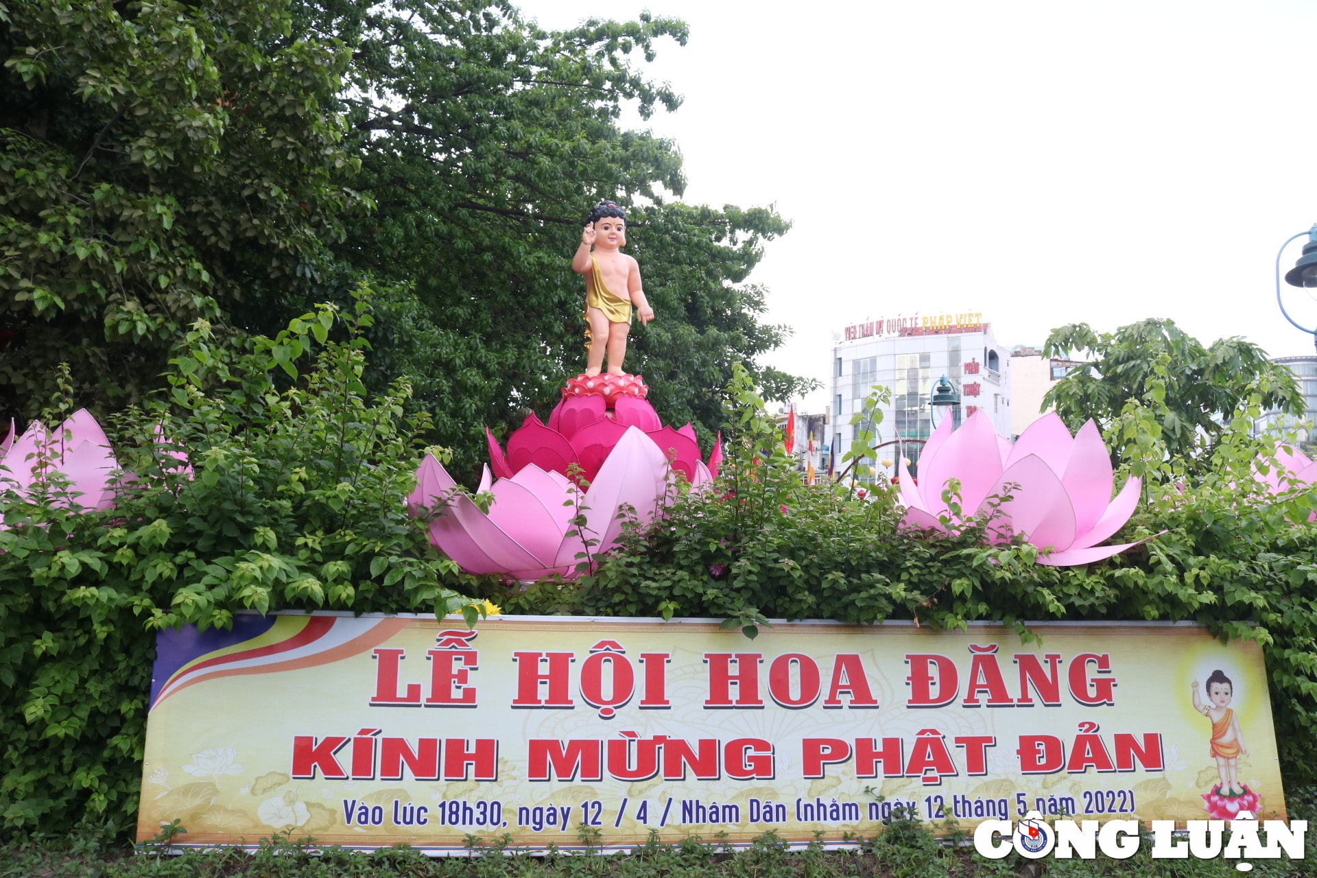 duong pho tp hcm rop co hoa san sang cho dai le phat dan hinh 15