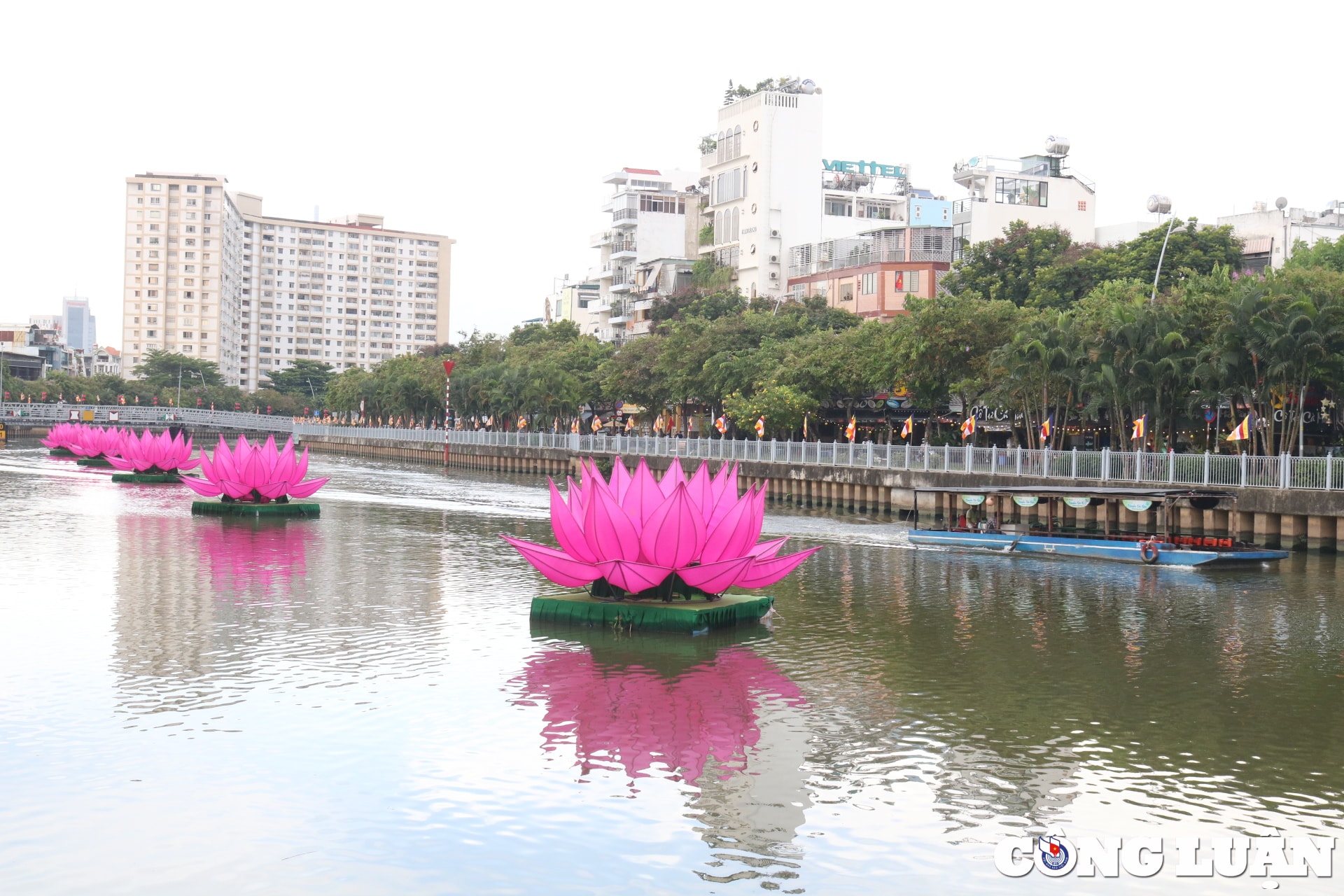 duong pho tp hcm rop co hoa san sang cho dai le phat dan hinh 3