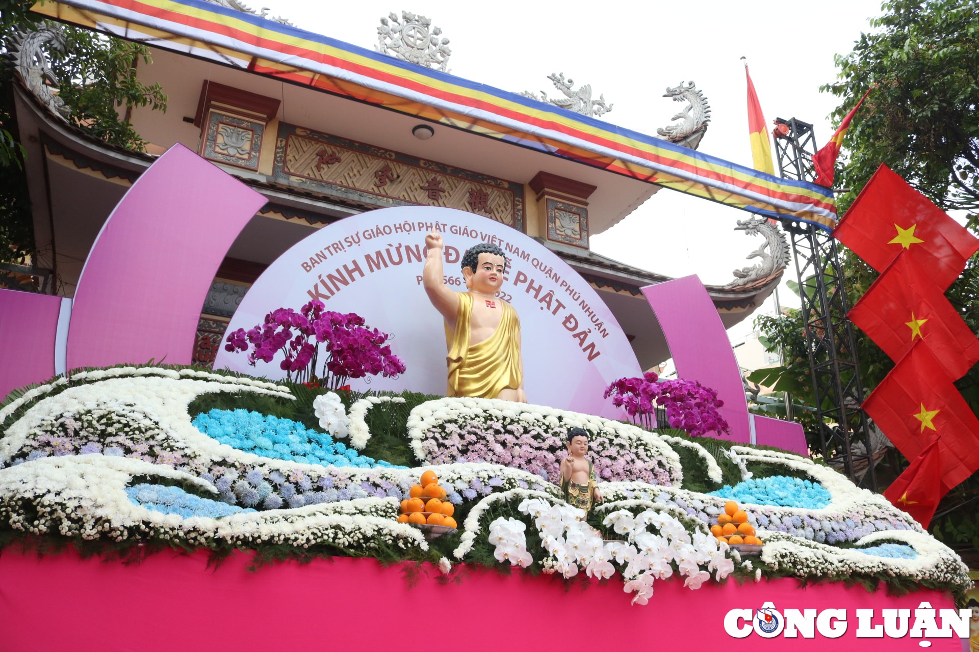 duong pho tp hcm rop co hoa san sang cho dai le phat dan hinh 1
