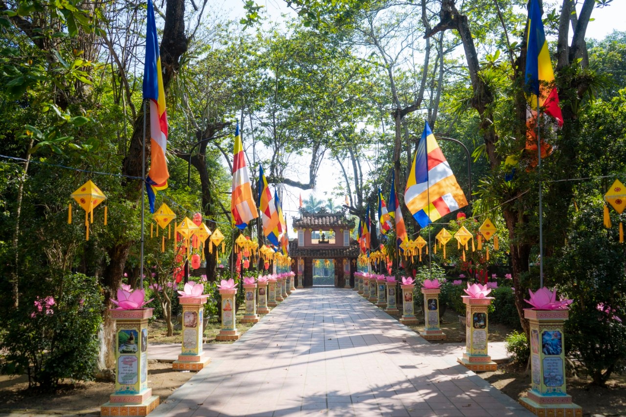 lung linh mua phat dan tai co do hue hinh 8