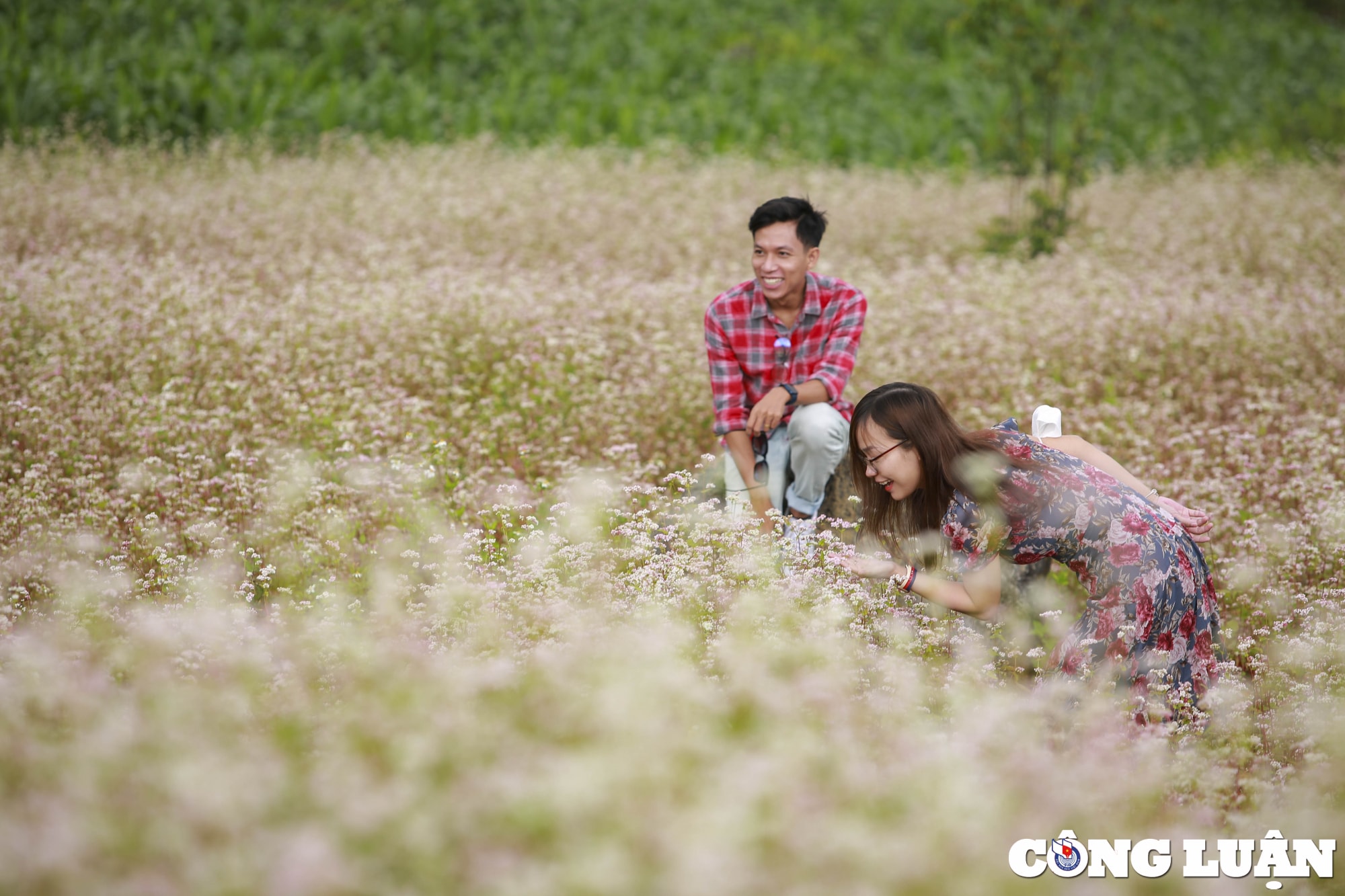can canh nhung dia diem nen den o ha giang tuyen quang hinh 11