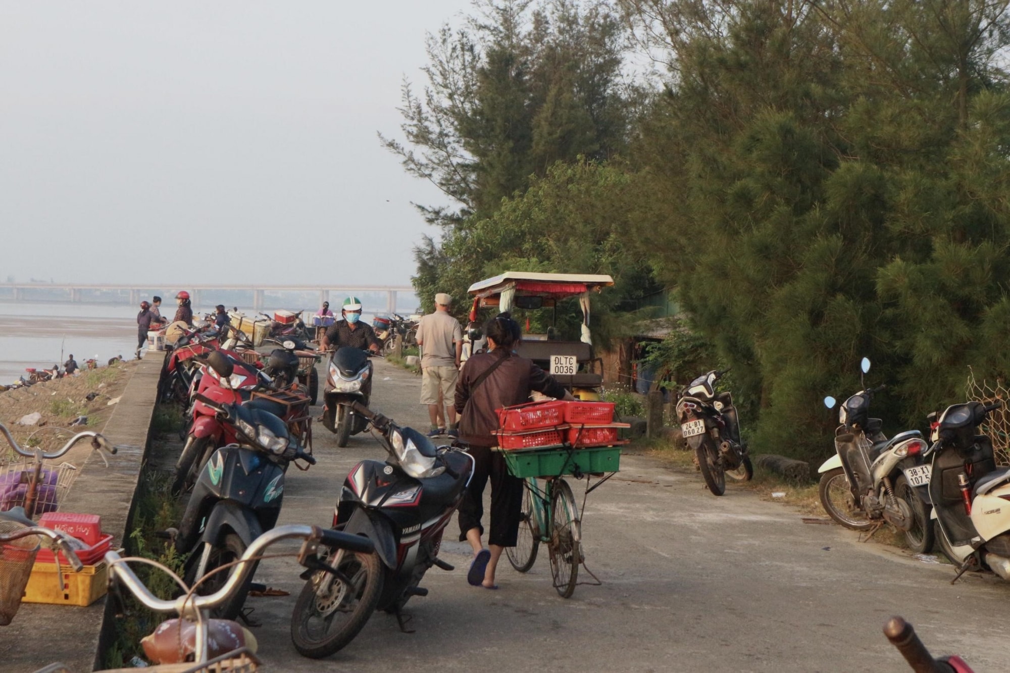 cho ca con go cam nhuong net dep doc dao vung bien ha tinh hinh 3