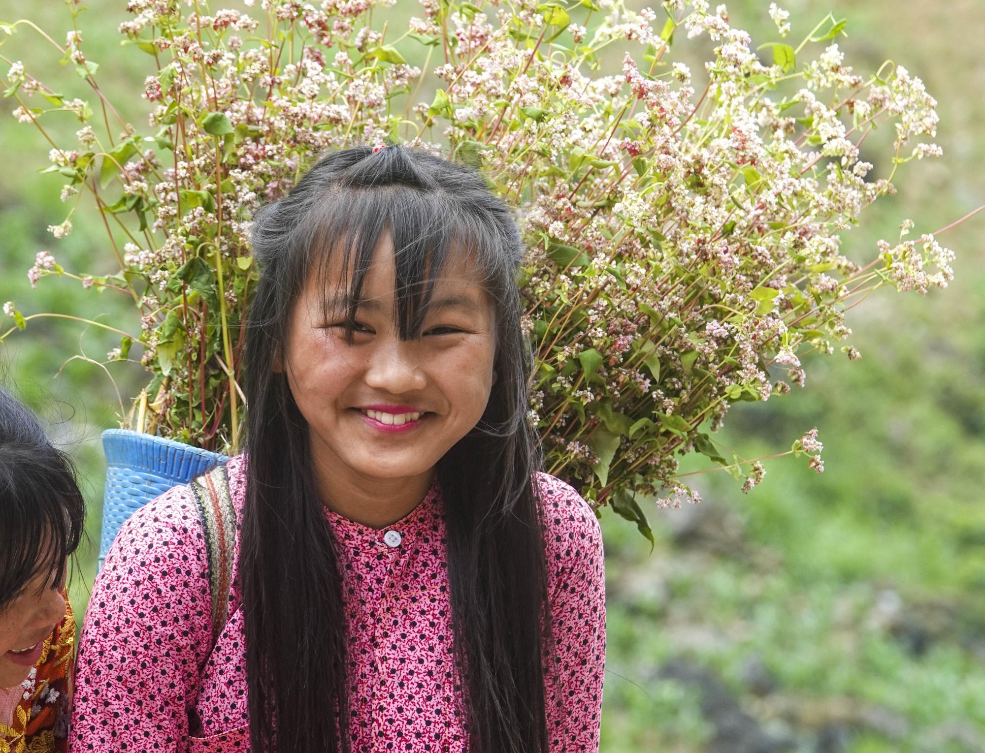 can canh nhung dia diem nen den o ha giang tuyen quang hinh 14