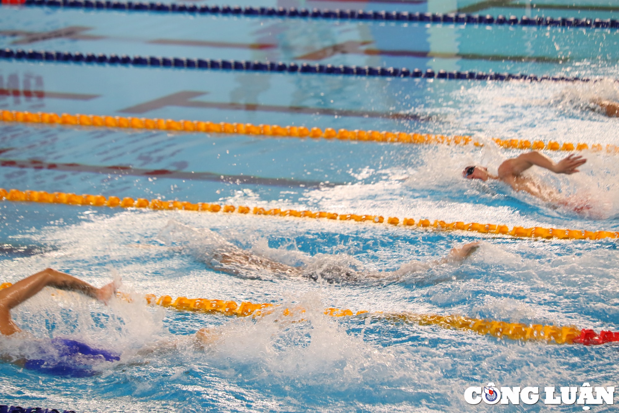 kinh ngu nguyen huy hoang gianh hcv noi dung 400 m boi tu do nam hinh 4