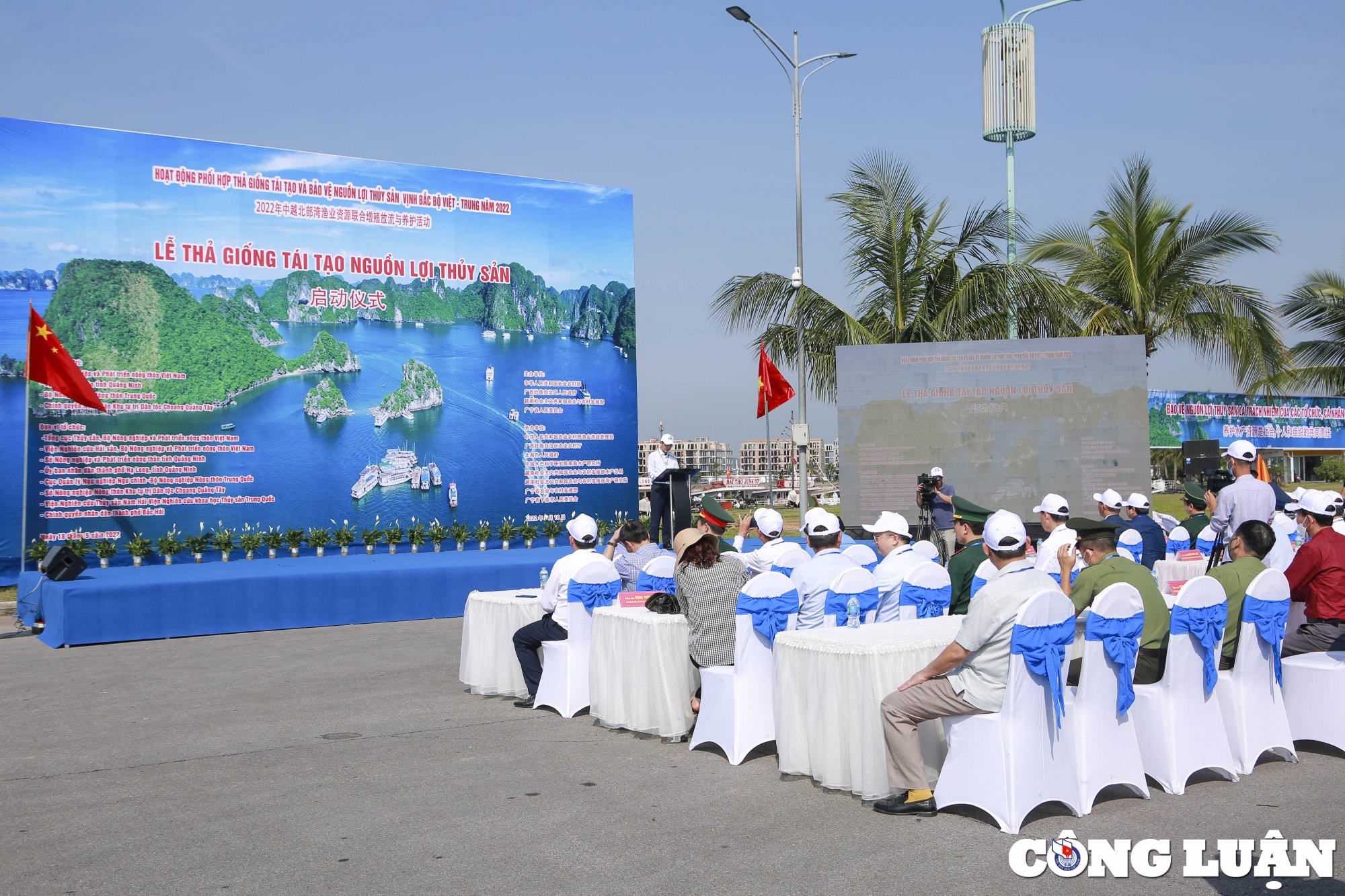 hon 8 trieu con giong thuy san duoc tha tai khu vuc ven bien vinh bac bo hinh 1