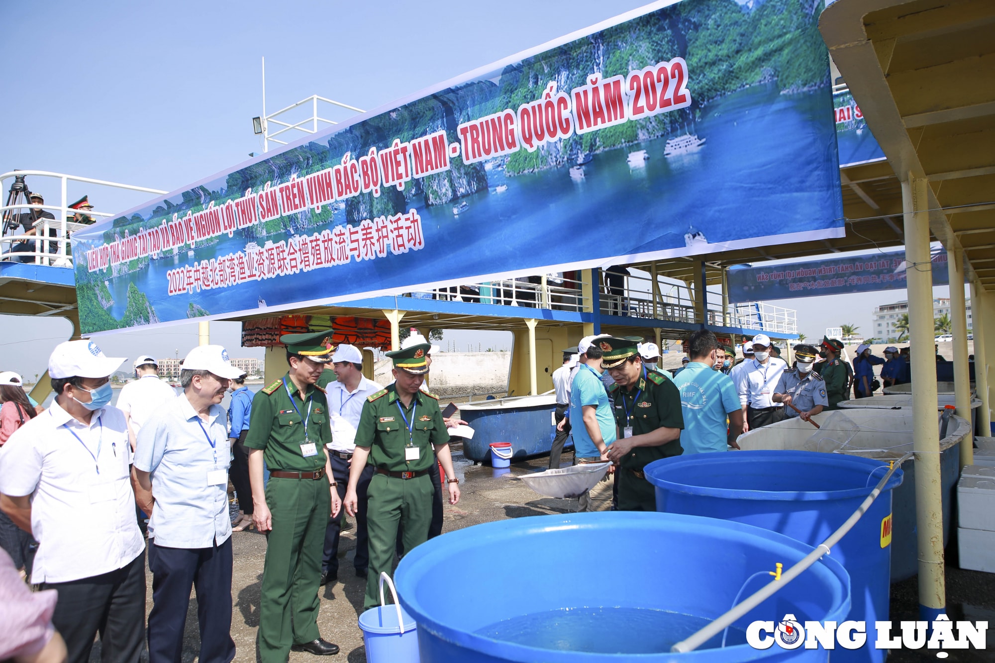hon 8 trieu con giong thuy san duoc tha tai khu vuc ven bien vinh bac bo hinh 5