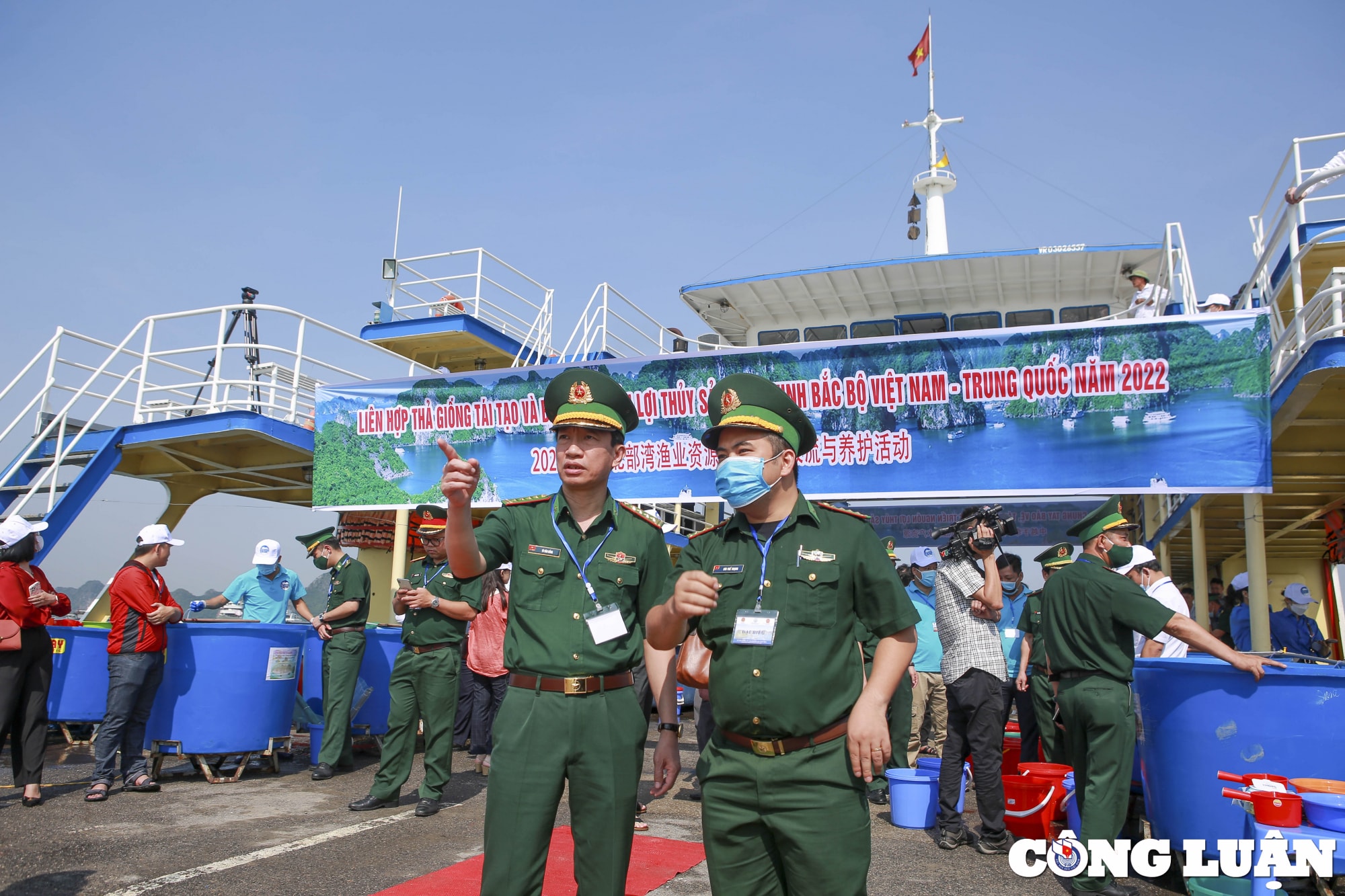hon 8 trieu con giong thuy san duoc tha tai khu vuc ven bien vinh bac bo hinh 4