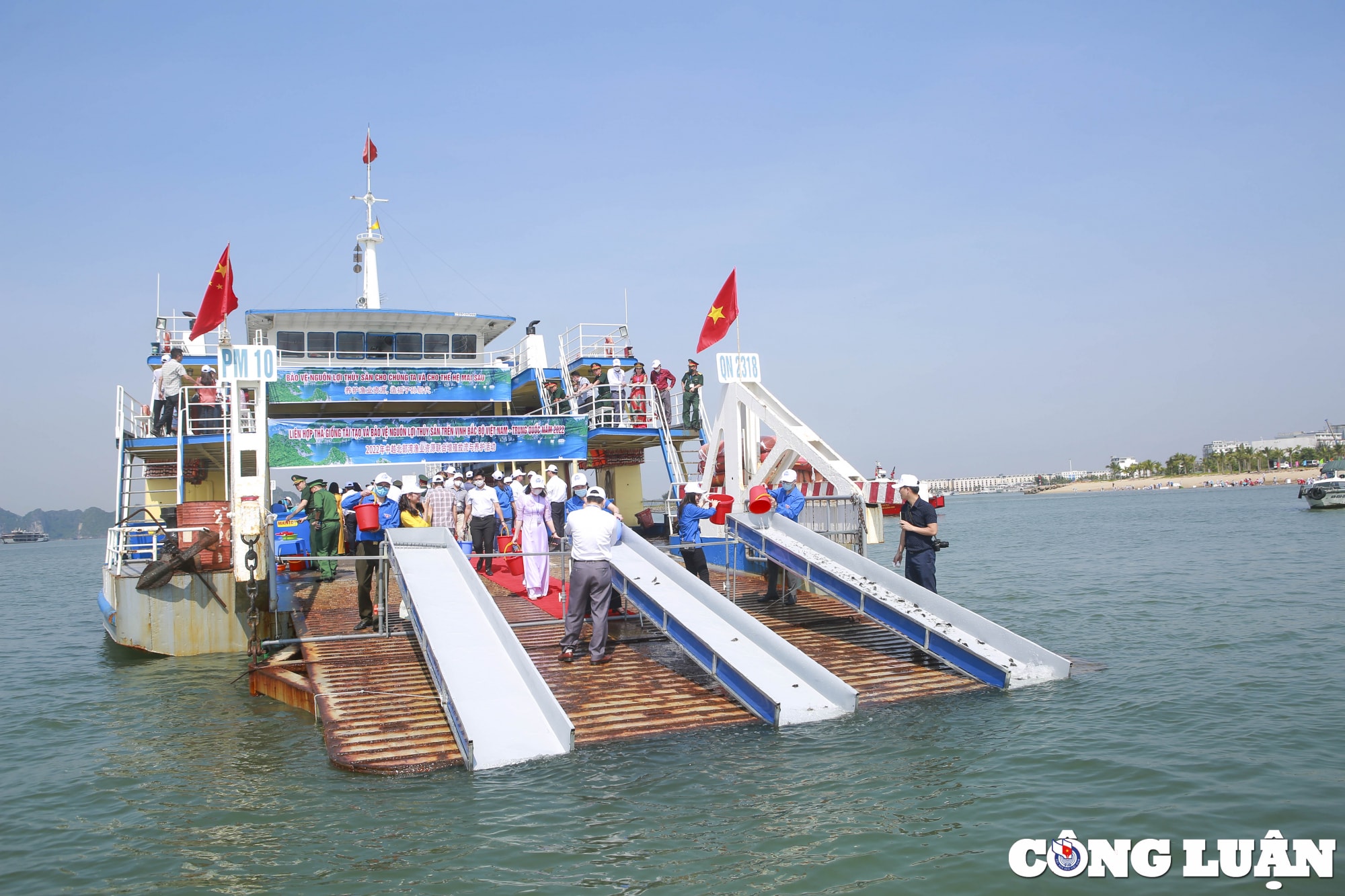 hon 8 trieu con giong thuy san duoc tha tai khu vuc ven bien vinh bac bo hinh 7