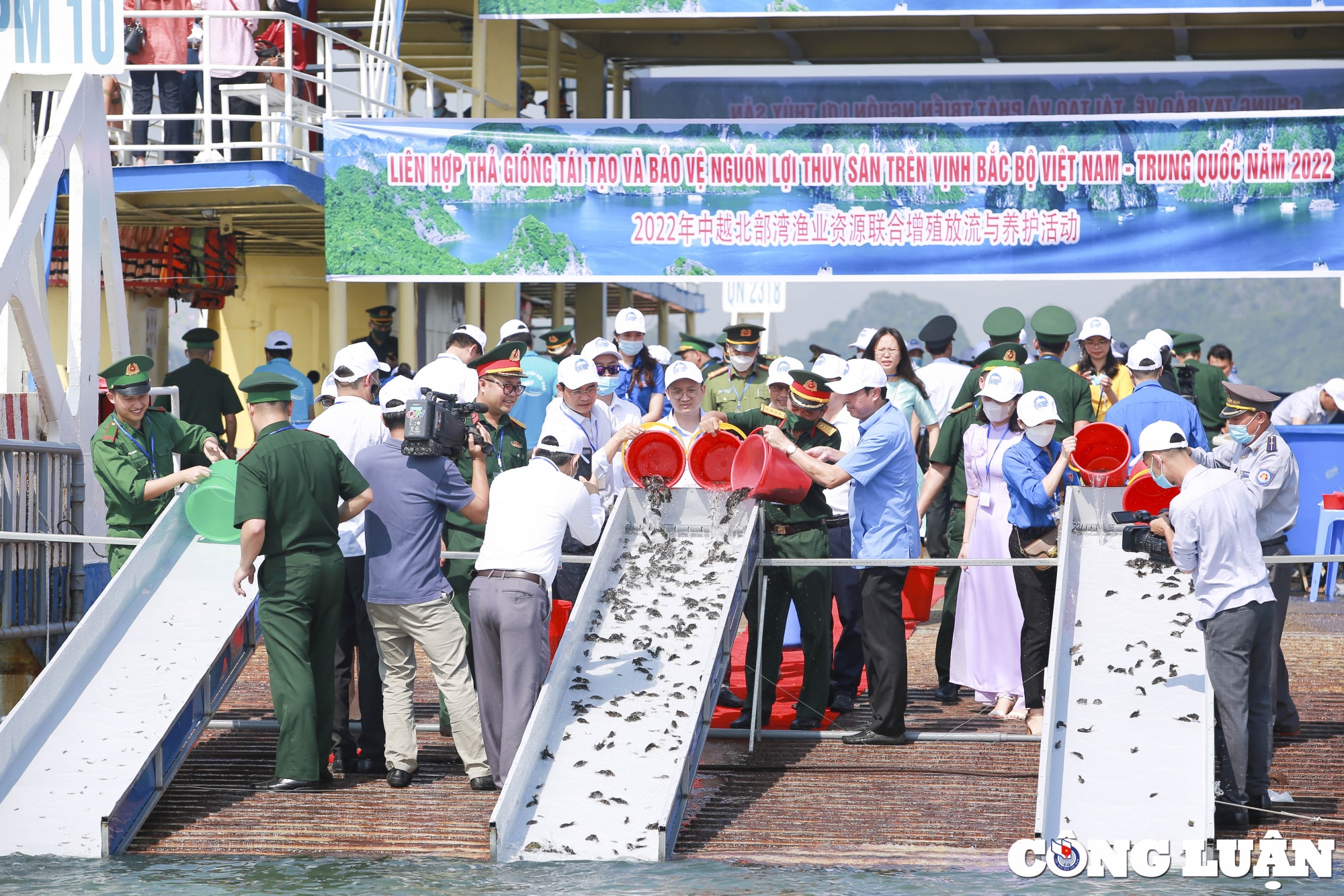 hon 8 trieu con giong thuy san duoc tha tai khu vuc ven bien vinh bac bo hinh 12