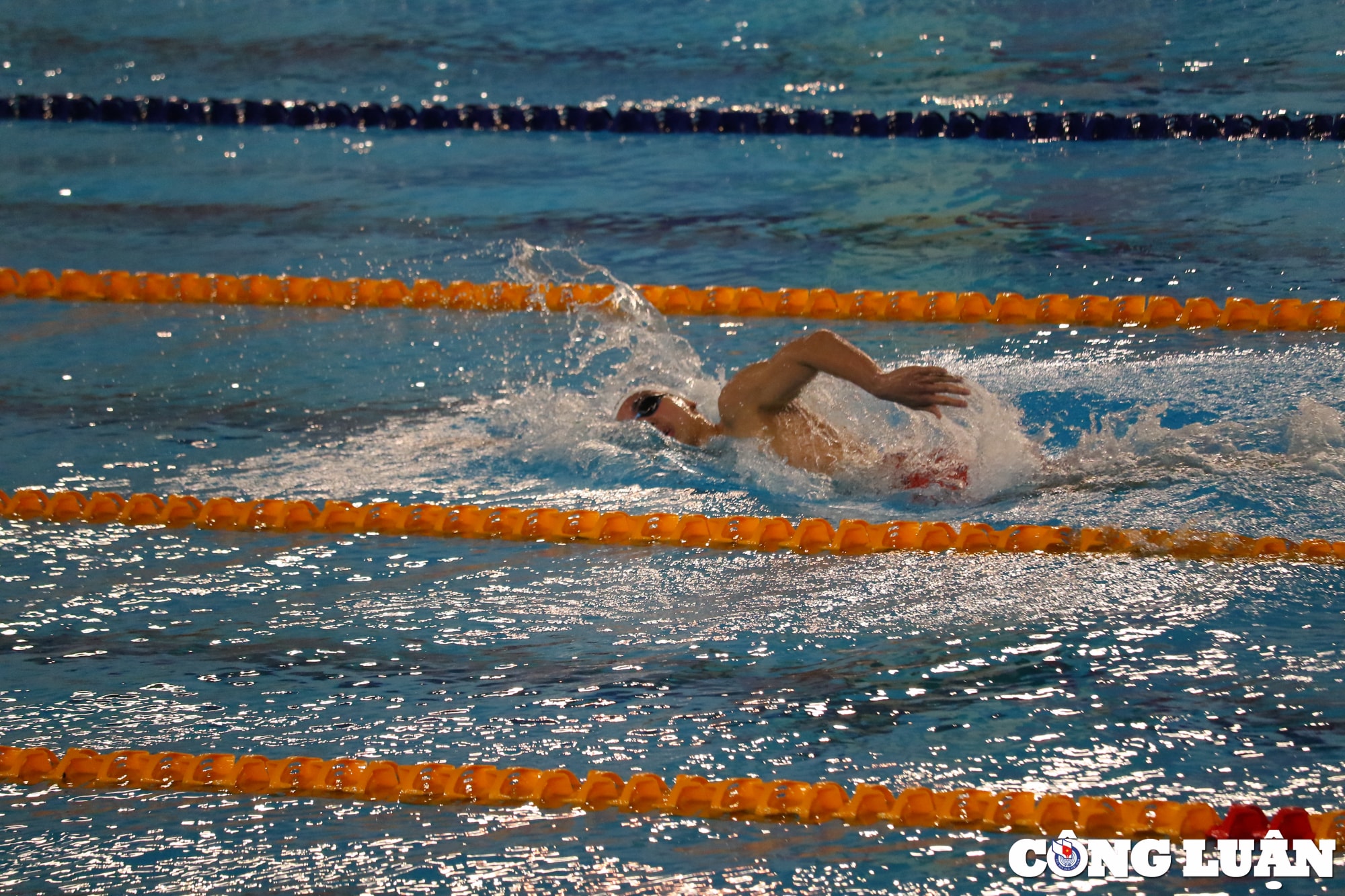 kinh ngu nguyen huy hoang gianh hcv 800 m boi tu do nam hinh 5