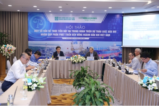 buoc tien moi trong phat trien kinh te xa hoi thong qua luat dau khi sua doi hinh 1