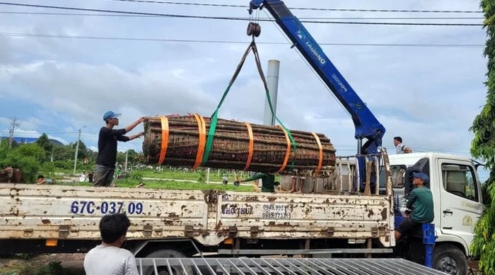 chiem nguong cap banh tet khong lo tai le hoi via ba chua xu nui sam hinh 7